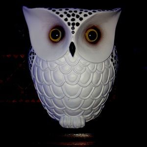 Harry Potter Hedwig pencil holder